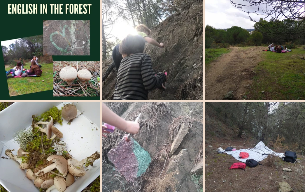 Captura de pantalla 2024-10-05 110717