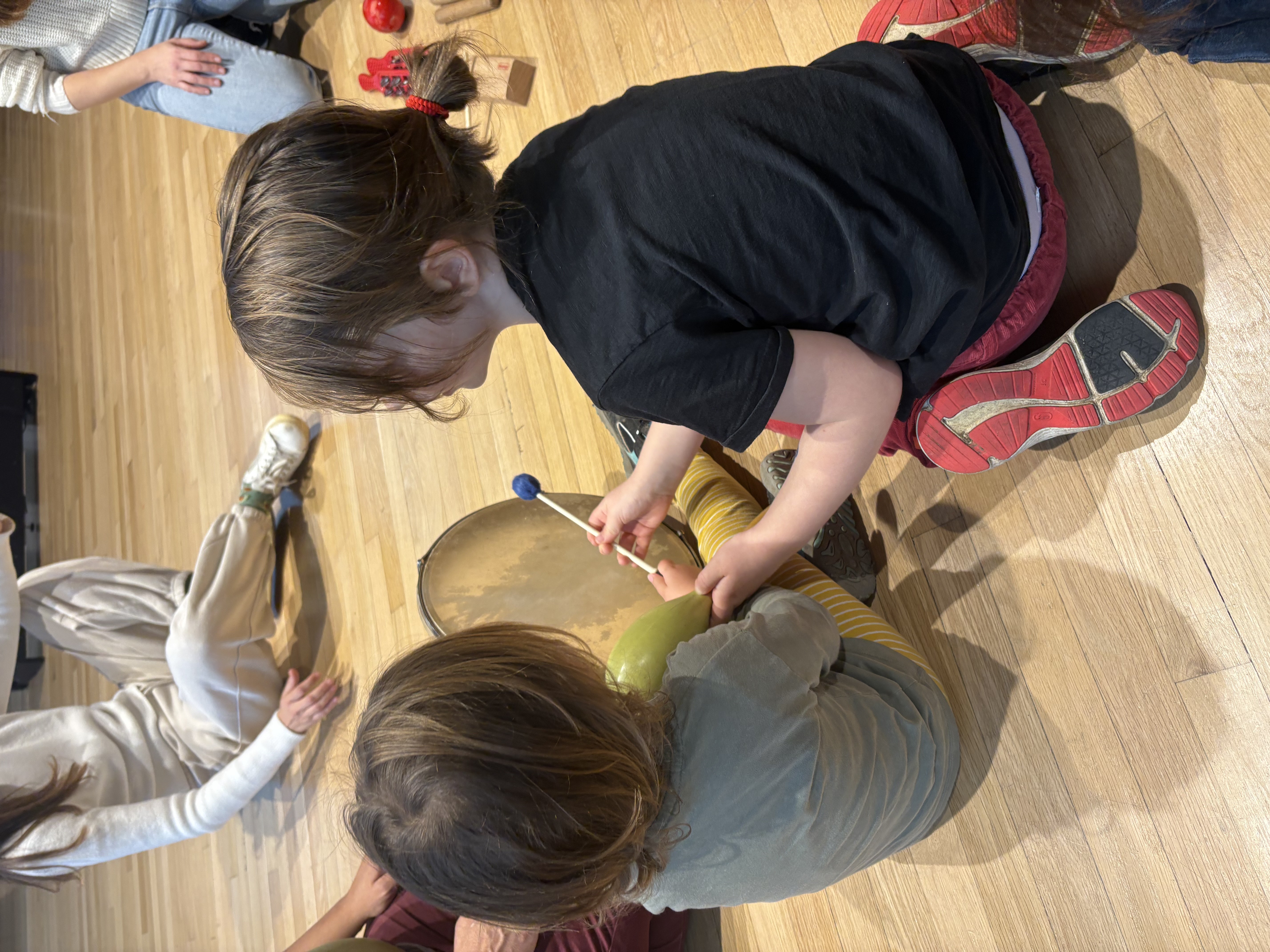 Veus i ritmes del món