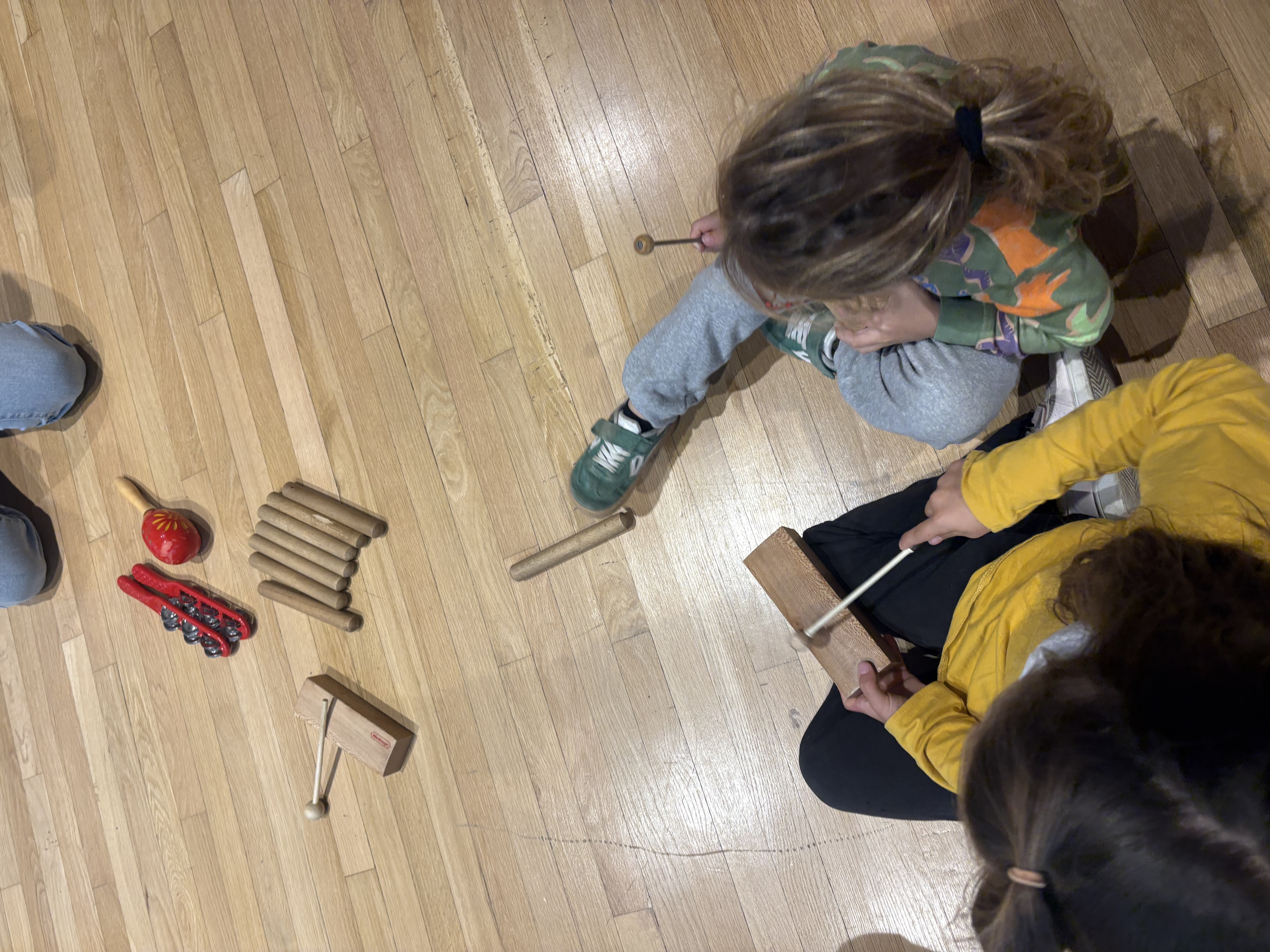 Veus i ritmes del món