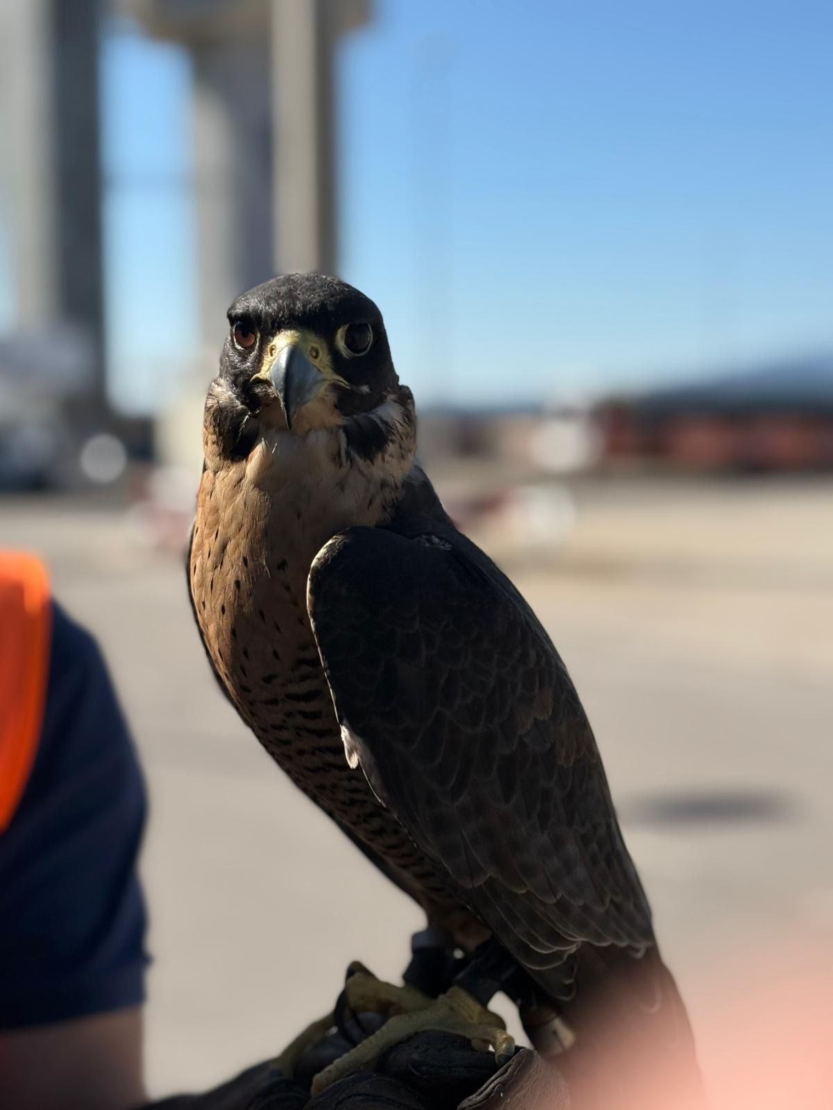 Aeroport Girona-CostaBrava
