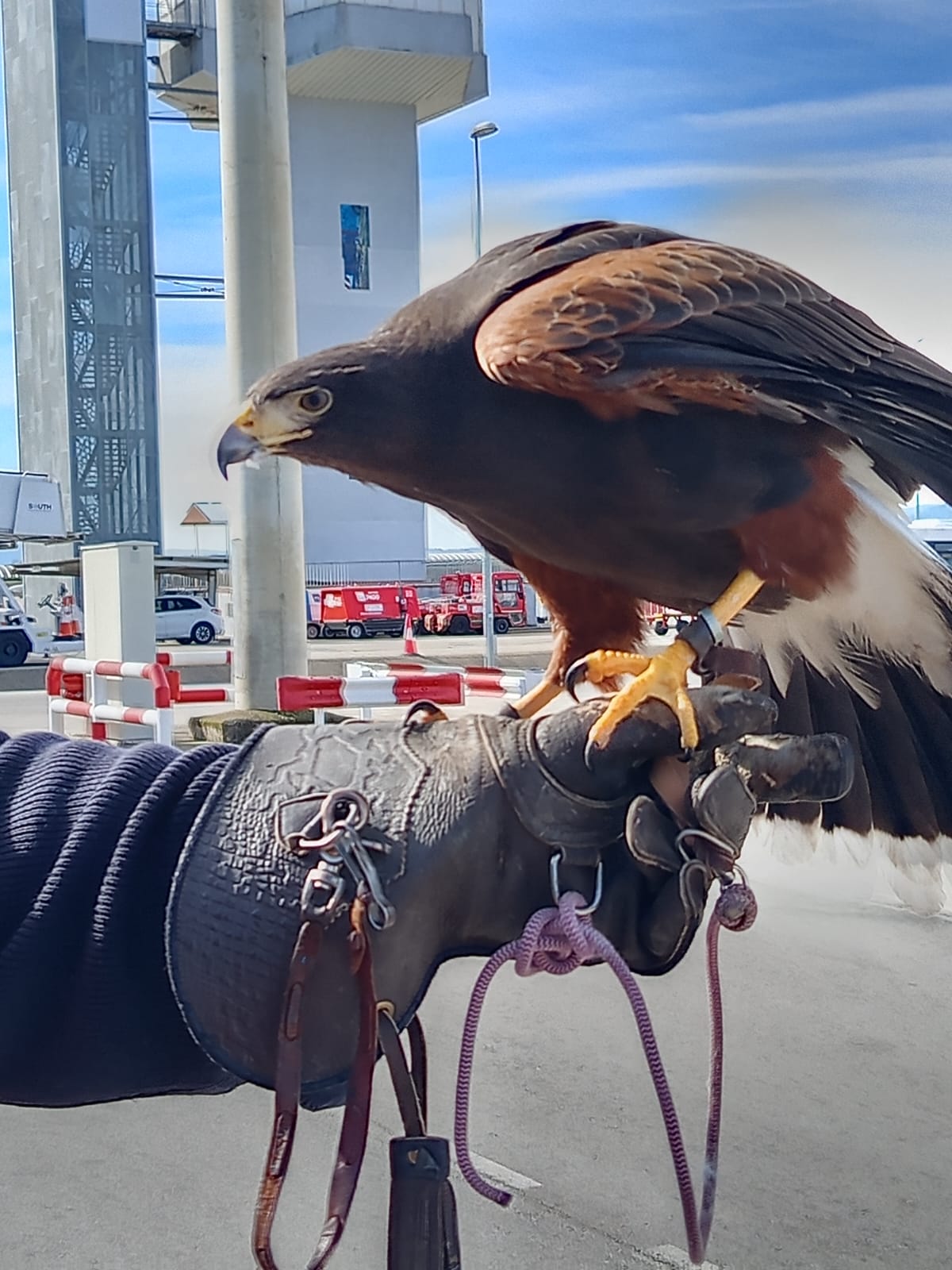 Aeroport Girona-CostaBrava